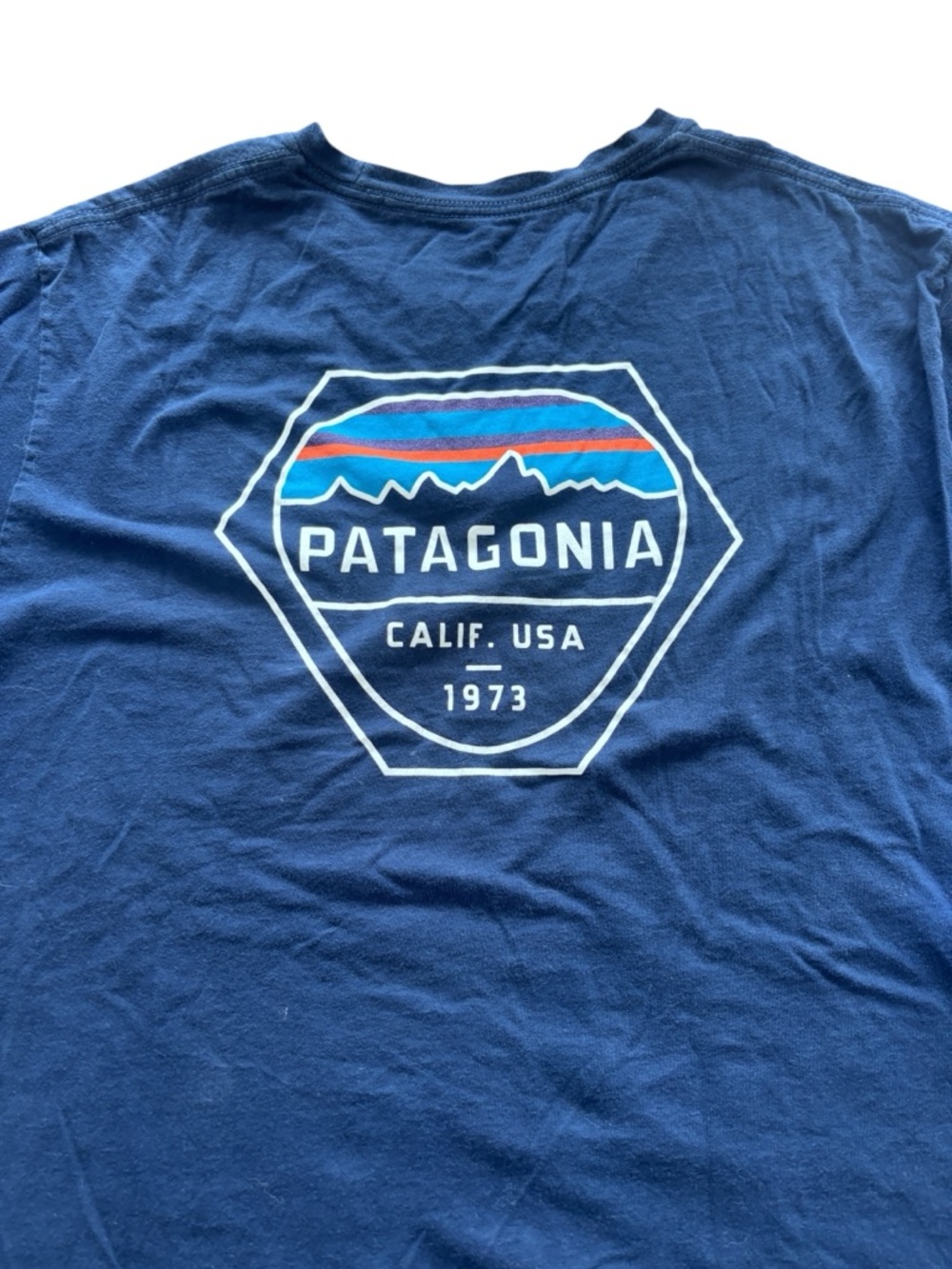 Patagonia Graphic T-Shirt Blue Logo Back Print Short Sleeve Tee Size L